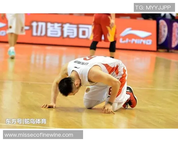 篮球明星赵宁的成长历程与职业生涯全景回顾